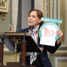 LA DIPUTADA LUPITA LEAL PRESENTA INICIATIVA SOBRE LA PROTECCIÓN ANIMAL EN PUEBLA
