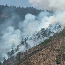 PARA LOGRAR UN MAYOR CONTROL EN INCENDIO DE LIBRES SE INTEGRAN LOS TRES ORDENES DE GOBIERNO