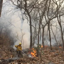 Incendio en Reserva de biosfera en Morelos