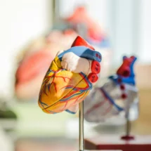 Personas podrían sobrevivir a la insuficiencia cardiaca