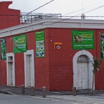 DENUCIAN EN REDES SOCIALES VETERINARIA QUE BAÑA A PERROS CON DETERGENTE PARA TRASTOS