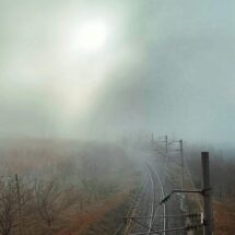 Se Libera el Bloqueo en las Vías del Tren Veracruz-México: Acuerdos y Millonarias Pérdidas