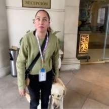 Hotel en Monterrey Niega Acceso a Mujer con Discapacidad Visual y Su Perro Guía