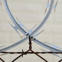 EE. UU. refuerza seguridad fronteriza en Ciudad Juárez previo a investidura de Trump