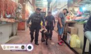 REALIZAN OPERATIVO EN EL MERCADO CENTRAL DE CHILPANCINGO, GUERRERO
