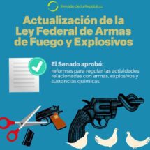 AUTORIZAN QUE FUNCIONARIOS DE CFE, SAT Y PEMEX PORTEN ARMAS