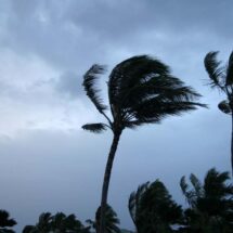 LA TORMENTA TROPICAL ‘DALILA’ SE DISPERSA EN EL PACÍFICO MEXICANO