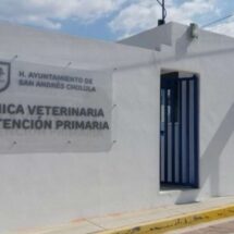 ANUNCIAN LICITACIÓN PARA CENTRO DE BIENESTAR ANIMAL EN SACH