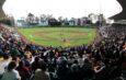 Pericos vs. Diablos: arranca la venta de boletos para la Serie de Zona