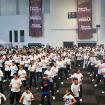 Se entregan Tatamis hasta en 50 municipios dentro del programa Tejiendo Paz