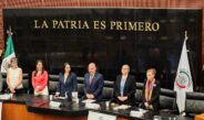 Difunde SEDIF modelo Centro LIBRE-Casa Carmen ante el Senado
